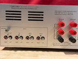 Aurorasound HFSA-01 Integrated w/Master fuse - trade-in, excellent condition