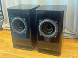 Voxativ Hagen 2 Monitor - very small blemish