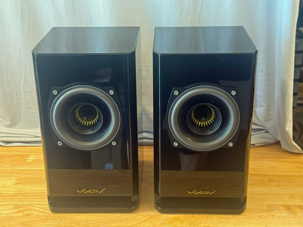 Voxativ Hagen 2 Monitor - very small blemish